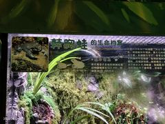 -海合安成都极地海洋公园