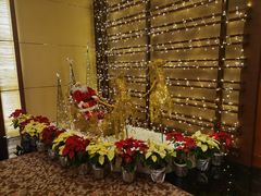 -马哥孛罗咖啡厅·Cafe Marco (厦门马哥孛罗东方大酒店)