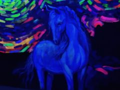 -深圳独角兽星空艺术馆