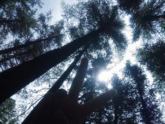-芦芽山旅游度假区