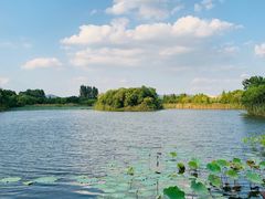 -上海市保健医疗中心