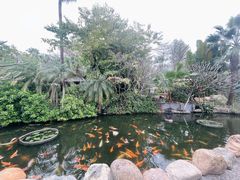 -厦门日月谷温泉渡假村