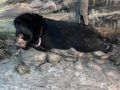 -北京动物园-畅观楼