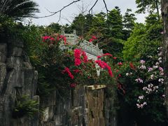 -广州市帽峰山景区