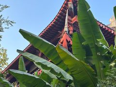 -成都市文殊院