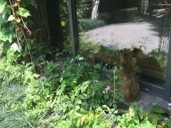 -竹吟山房