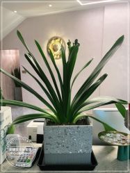 -新蝶变皮肤管理中心