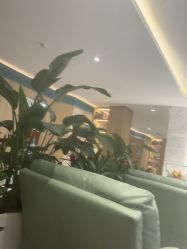 -LIHER北京丽合医疗美容医院