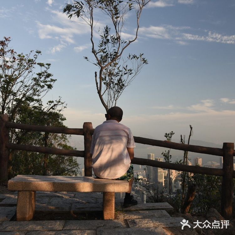 深圳南山公园登山攻略📒📒