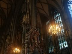 -斯蒂芬主教座堂(Stephansdom)