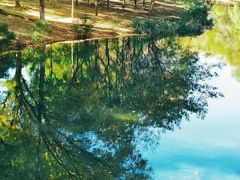 -天津东丽湖风景区