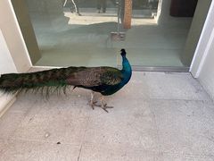 -西昌邛海宾馆