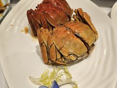 -新雅粤菜馆(南京东路店)