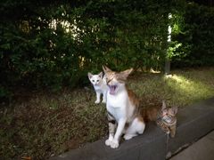 -中海环宇荟