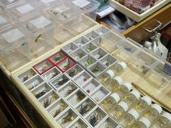 -三旗百汇商品城