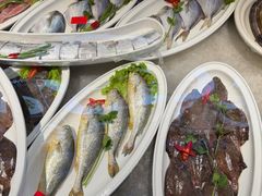 -单家老院·院子里的青岛菜(沙子口店)