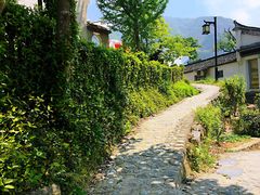 -塔川景区