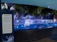 -成都浩海立方海洋公园