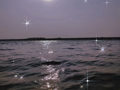 -丁香湖公园