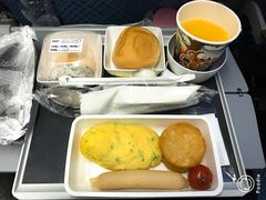 -新加坡航空公司(ION)