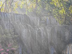 -西双版纳原始森林公园