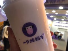 -一只酸奶牛(八一路店)