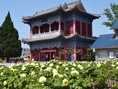 -曹州百花园