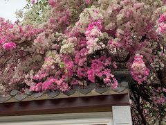 -深圳国际园林花卉博览园