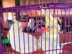 -星巴克(西安曲江银泰店)