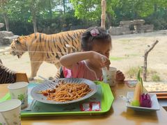 -上海野生动物园老虎餐厅