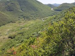 -大围山国家森林公园