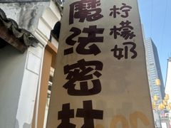 -猫的魔法密林(衣裳街店)