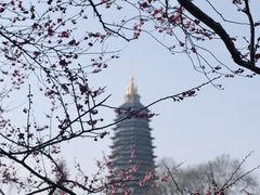 -红梅公园