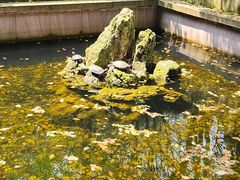 -宁波市保国寺古建筑博物馆