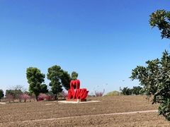 -西京湾花海