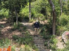 -青龙山国家森林公园