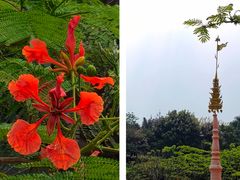 -曼听御花园