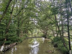 -桤木河湿地公园