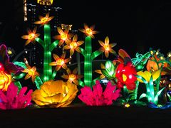 -锦江乐园舞狸花花游园会(夜场专享)