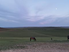 -额尔古纳黑山头绿野马帮骑马场