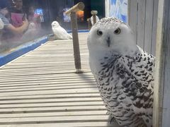 -成都浩海立方海洋公园