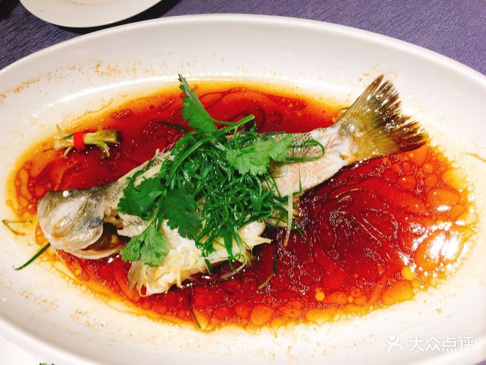 登喜路国际大酒店喜悦酒家清蒸加州鲈图片 - 第1张