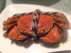 -新光酒家·河豚·海鲜·蟹料理(浦东店)