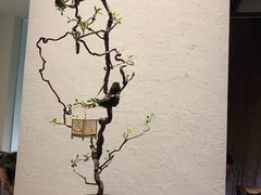 -翡翠江南(国贸商城店)
