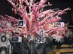 -新影联·华谊兄弟影院(望京店)