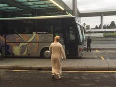 -米兰马尔彭萨国际机场