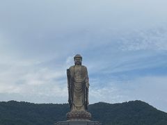 -中原大佛景区