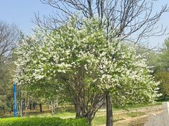 -森林公园(尖草坪区)