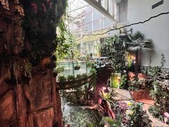 -正佳雨林生态植物园