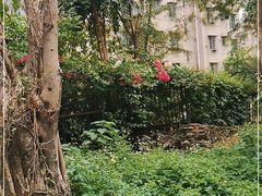 -深圳国际园林花卉博览园